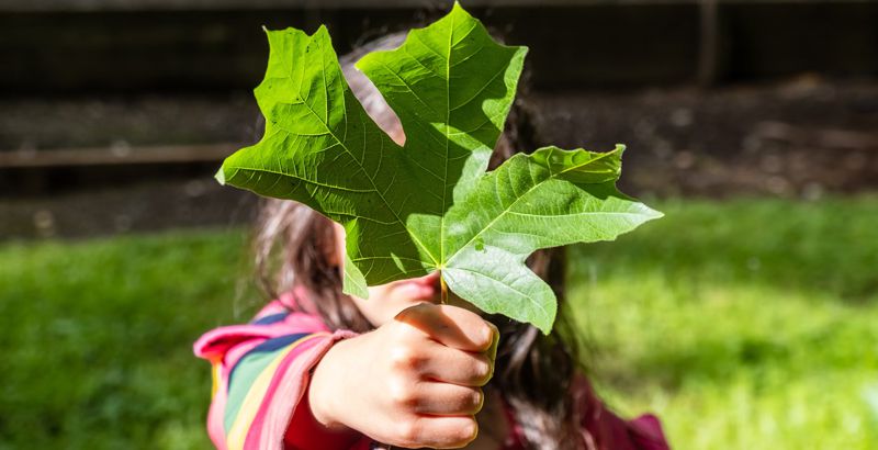 EFFICIENT RECYCLING SYSTEM EFFICIENT RECYCLING SYSTEM
